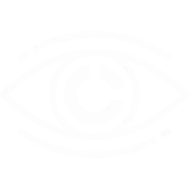 Vision